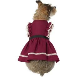 Frisco Plum Dog & Cat Dress -Cat Toy Shop 268677 PT2. AC SS1800 V1637649786