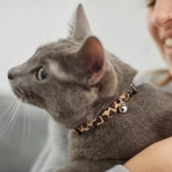 Leopard Print Cat Collar -Cat Toy Shop 269496 PT4. AC SS1800 V1617037438