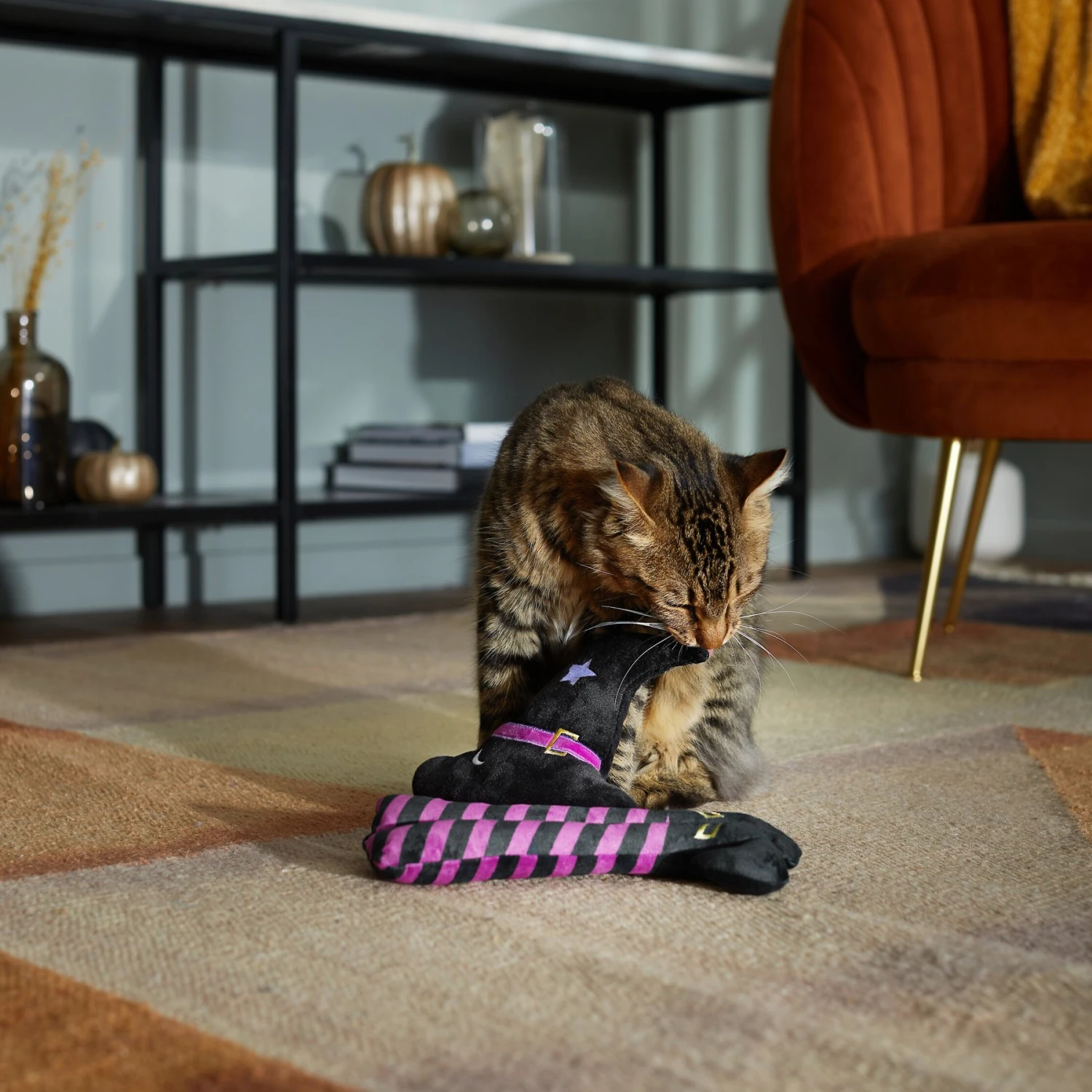 Frisco Halloween Witch Hat & Legs Plush Cat Toy With Catnip, 2 Count 3 Frisco Halloween Witch Hat & Legs Plush Cat Toy With Catnip, 2 Count - Image 3