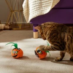 Frisco Halloween Nerdy Jack-o-Lanterns Plush Cat Toy With Catnip, 2 Count -Cat Toy Shop 270313 PT3. AC SS1800 V1624824951