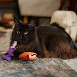 Frisco Halloween Enchanted Book & Candle Plush Cat Toy With Catnip, 2 Count -Cat Toy Shop 270321 PT3. AC SS1800 V1689878926