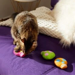 Frisco Colorful Skulls Plush Cat Toy With Catnip, 3 Count -Cat Toy Shop 270325 PT3. AC SS1800 V1630350992