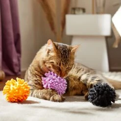 Frisco Halloween Moppy Ball Cat Toy With Catnip -Cat Toy Shop 270337 PT3. AC SS1800 V1624817812