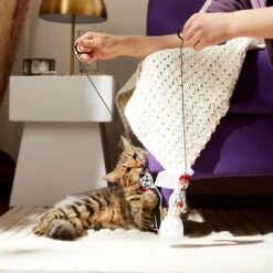 Frisco Sugar Skull Bride & Groom Bouncy Cat Toy With Catnip, 2 Count -Cat Toy Shop 270343 PT3. AC SS1800 V1624817778