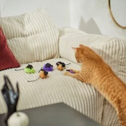 Frisco Halloween Bat Mice Plush Cat Toy With Catnip -Cat Toy Shop 270353 PT3. AC SS1800 V1624817260