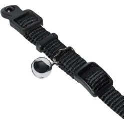 Frisco Nylon Personalized Breakaway Cat Collar With Bell -Cat Toy Shop 270731 PT2. AC SS1800 V1618936921