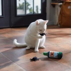 Frisco Camping Bug Spray Plush Cat Toy With Catnip, 3 Count -Cat Toy Shop 270969 PT3. AC SS1800 V1625009346