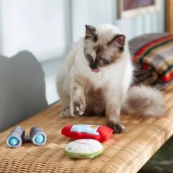 Frisco Camping Compass & Lantern Plush Cat Toy With Catnip, 2 Count -Cat Toy Shop 270985 PT3. AC SS1800 V1625009053