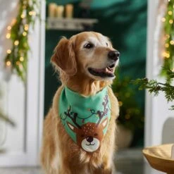 Frisco Peekaboo Reindeer Dog & Cat Bandana 13 Frisco Peekaboo Reindeer Dog & Cat Bandana -Cat Toy Shop 276198 PT5. AC SS1800 V1637644939