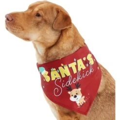 Frisco Santa's Sidekick Dog & Cat Bandana -Cat Toy Shop 276204 PT2. AC SS1800 V1637653065