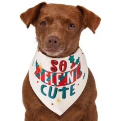 Frisco So Elf'n Cute Dog & Cat Bandana 10 Frisco So Elf'n Cute Dog & Cat Bandana -Cat Toy Shop 276276 PT2. AC SS1800 V1637682999