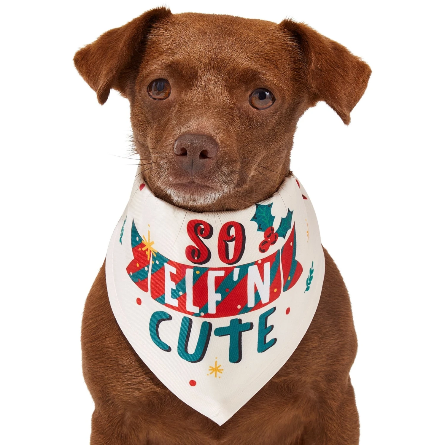 Frisco So Elf'n Cute Dog & Cat Bandana 3 Frisco So Elf'n Cute Dog & Cat Bandana - Image 3