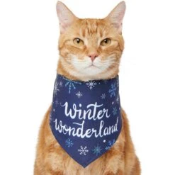 Frisco Winter Wonderland Dog & Cat Bandana -Cat Toy Shop 276279 PT2. AC SS1800 V1637675218