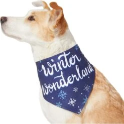 Frisco Winter Wonderland Dog & Cat Bandana -Cat Toy Shop 276279 PT3. AC SS1800 V1637688134