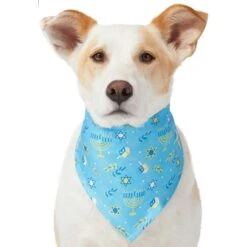 Frisco Festive Hanukkah Dog & Cat Bandana -Cat Toy Shop 276282 PT3. AC SS1800 V1637673704