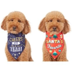 Frisco Santa's Favorite & Cheers To The New Year Dog & Cat Reversible Bandana 11 Frisco Santa's Favorite & Cheers To The New Year Dog & Cat Reversible Bandana -Cat Toy Shop 276285 PT2. AC SS1800 V1637719891