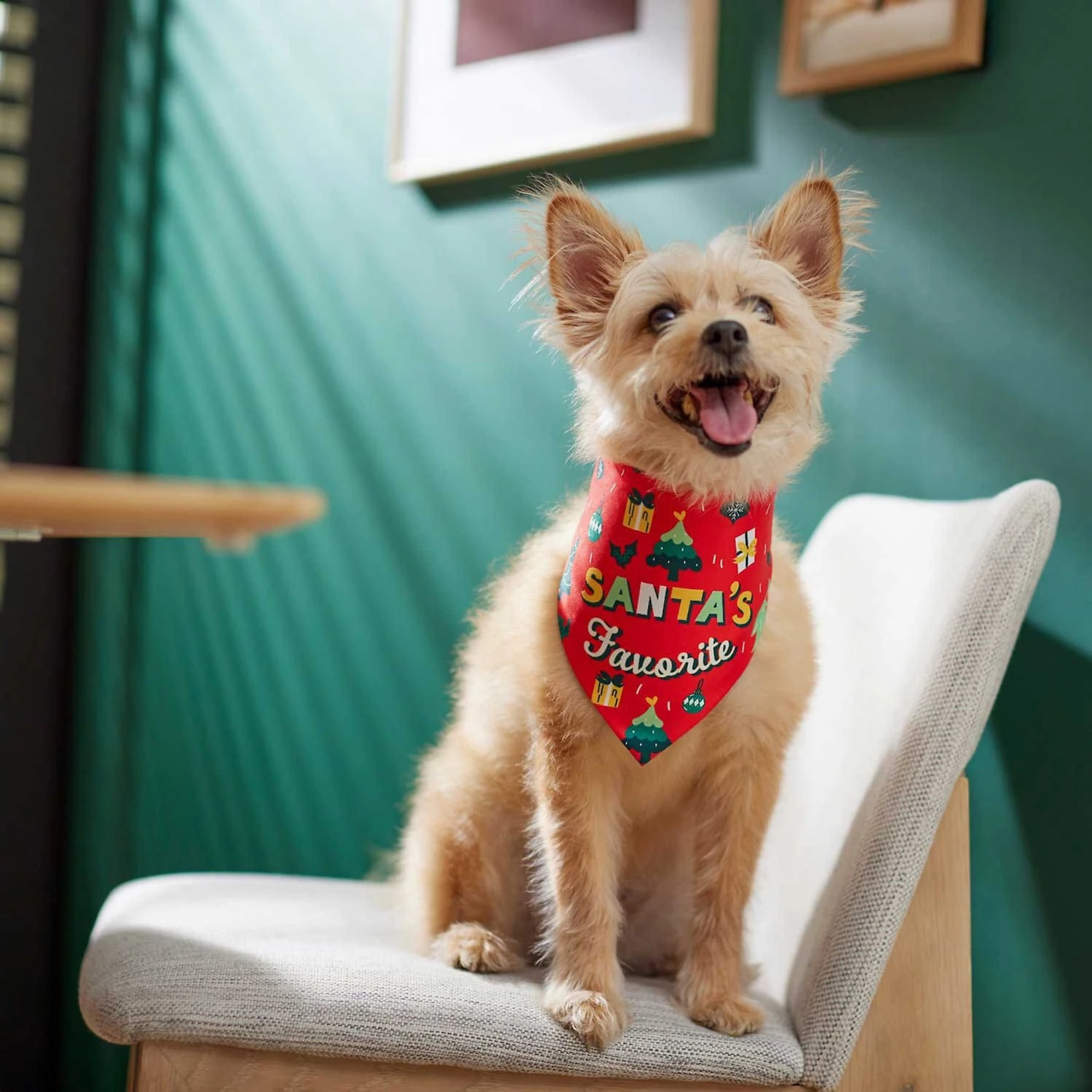 Frisco Santa's Favorite & Cheers To The New Year Dog & Cat Reversible Bandana 7 Frisco Santa's Favorite & Cheers To The New Year Dog & Cat Reversible Bandana - Image 7