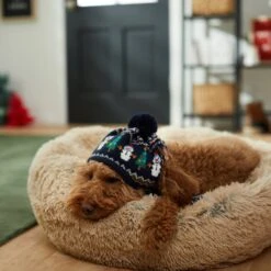 Frisco Jolly Snowman Dog & Cat Knitted Hat -Cat Toy Shop 276303 PT8. AC SS1800 V1631300384