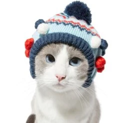 Frisco Pom Pom Dog & Cat Knitted Hat -Cat Toy Shop 276307 PT3. AC SS1800 V1631303197
