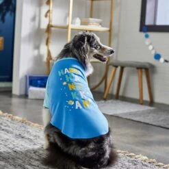 Frisco Happy Hanukkah Dog & Cat T-shirt -Cat Toy Shop 276480 PT5. AC SS1800 V1637646712