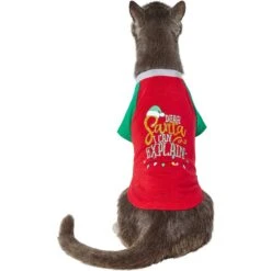 Frisco Santa I Can Explain Dog & Cat T-shirt -Cat Toy Shop 276496 PT2. AC SS1800 V1637682452