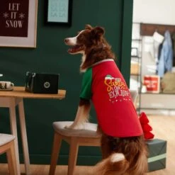 Frisco Santa I Can Explain Dog & Cat T-shirt -Cat Toy Shop 276496 PT5. AC SS1800 V1637677020