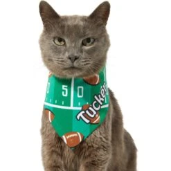 Frisco Football Personalized Dog & Cat Bandana -Cat Toy Shop 287044 PT7. AC SS1800 V1623246789