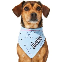Frisco Ice Hockey Personalized Dog & Cat Bandana -Cat Toy Shop 287048 PT6. AC SS1800 V1623246568