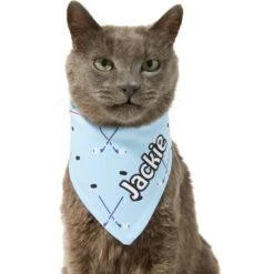 Frisco Ice Hockey Personalized Dog & Cat Bandana -Cat Toy Shop 287048 PT7. AC SS1800 V1623246478