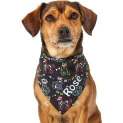 Frisco Dia De Los Muertos Personalized Dog & Cat Bandana 15 Frisco Dia De Los Muertos Personalized Dog & Cat Bandana -Cat Toy Shop 287052 PT6. AC SS1800 V1623246755