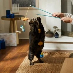 Frisco Holiday Hanukkah Teaser Cat Toy With Catnip, 2 Count -Cat Toy Shop 287277 PT3. AC SS1800 V1632771712