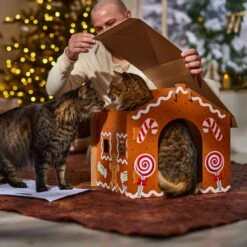 Frisco Holiday Gingerbread House Cardboard Cat House Cat Toy -Cat Toy Shop 287289 PT3. AC SS1800 V1695046487