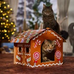 Frisco Holiday Gingerbread House Cardboard Cat House Cat Toy -Cat Toy Shop 287289 PT4. AC SS1800 V1694813217