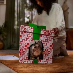 Frisco Holiday Gift Box Cardboard Cat House -Cat Toy Shop 287291 PT3. AC SS1800 V1695043502