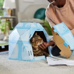 Frisco Igloo Cardboard Cat House -Cat Toy Shop 287293 PT3. AC SS1800 V1692035199