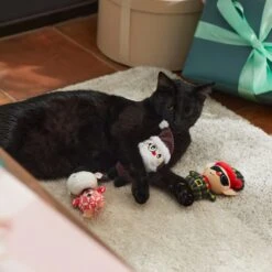 Frisco Holiday Hipster Santa & Friends Plush Cat Toy With Catnip, 3 Count -Cat Toy Shop 287317 PT3. AC SS1800 V1632774130