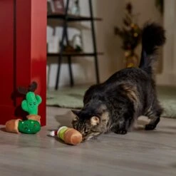 Frisco Holiday Cactus Plush Cat Toy With Catnip, 3 Count -Cat Toy Shop 287329 PT3. AC SS1800 V1661874421