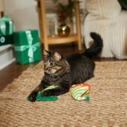 Frisco Holiday Elf Legs & Hat Plush Cat Toy With Catnip, 2 Count -Cat Toy Shop 287365 PT3. AC SS1800 V1632776685