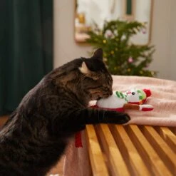 Frisco Naughty Or Nice Snowman Reversible Plush Cat Toy With Catnip -Cat Toy Shop 287387 PT3. AC SS1800 V1632774541