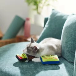 Frisco Protein Bar & Gym Membership Plush Cat Toy With Catnip -Cat Toy Shop 288951 PT3. AC SS1800 V1638290814