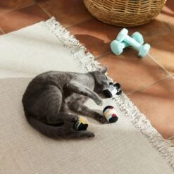 Frisco Pre-Workout & Protein Plush Cat Toy With Catnip, 3 Count -Cat Toy Shop 288953 PT3. AC SS1800 V1638287817