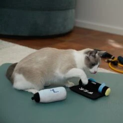 Frisco Yoga Mat & Water Bottle Plush Cat Toy With Catnip, 2 Count -Cat Toy Shop 288955 PT3. AC SS1800 V1638289648