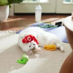 Frisco New Year, New Me Juice Cleanse Plush Cat Toy With Catnip -Cat Toy Shop 288957 PT3. AC SS1800 V1638292099