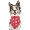 Frisco Love Letters Dog & Cat Bandana