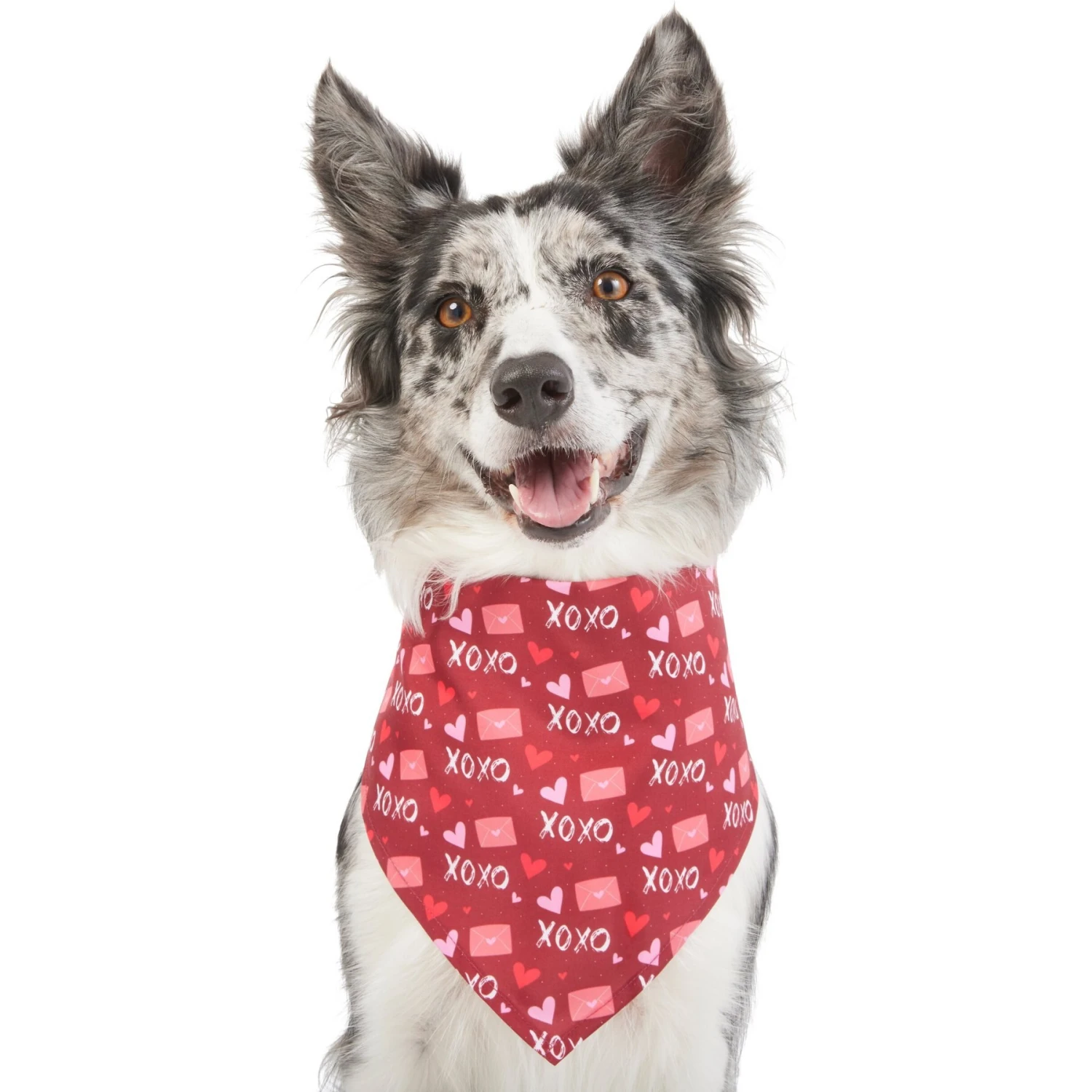 Frisco Love Letters Dog & Cat Bandana 1 Frisco Love Letters Dog & Cat Bandana