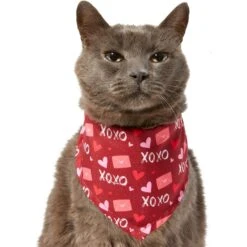 Frisco Love Letters Dog & Cat Bandana 9 Frisco Love Letters Dog & Cat Bandana -Cat Toy Shop 292051 PT2. AC SS1800 V1637269050