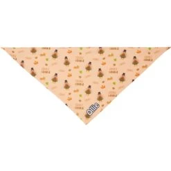 Frisco Quirky Thanksgiving Personalized Dog & Cat Bandana 12 Frisco Quirky Thanksgiving Personalized Dog & Cat Bandana -Cat Toy Shop 296986 PT3. AC SS1800 V1627654956