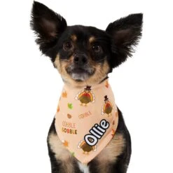 Frisco Quirky Thanksgiving Personalized Dog & Cat Bandana 15 Frisco Quirky Thanksgiving Personalized Dog & Cat Bandana -Cat Toy Shop 296986 PT6. AC SS1800 V1627654020