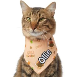 Frisco Quirky Thanksgiving Personalized Dog & Cat Bandana 16 Frisco Quirky Thanksgiving Personalized Dog & Cat Bandana -Cat Toy Shop 296986 PT7. AC SS1800 V1627654903
