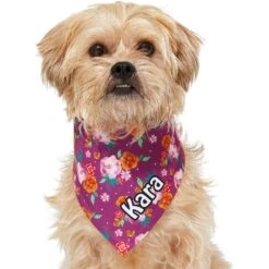 Frisco Fall Floral Personalized Dog & Cat Bandana -Cat Toy Shop 296990 PT6. AC SS1800 V1627654305